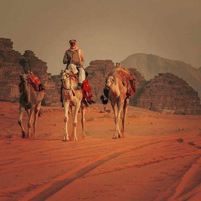 hover-banner-pic-three