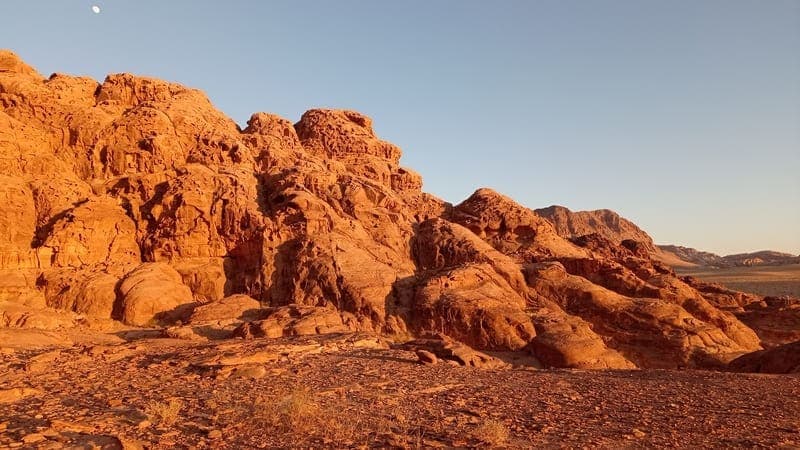 hover-banner-pic-four